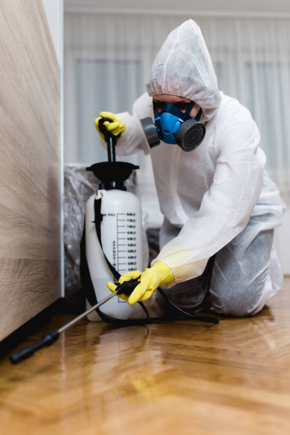 Professional Pest control in Phoenix, AZ